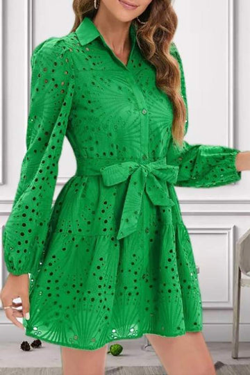 LONG SLEEVE HOLLOW OUT EYELET DRESS